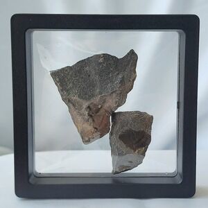 Carboniferous Period Fossils‎ From World Famous Union Chapple Mine Book Matched